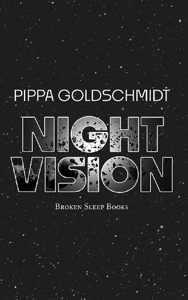 Night Vision book cover