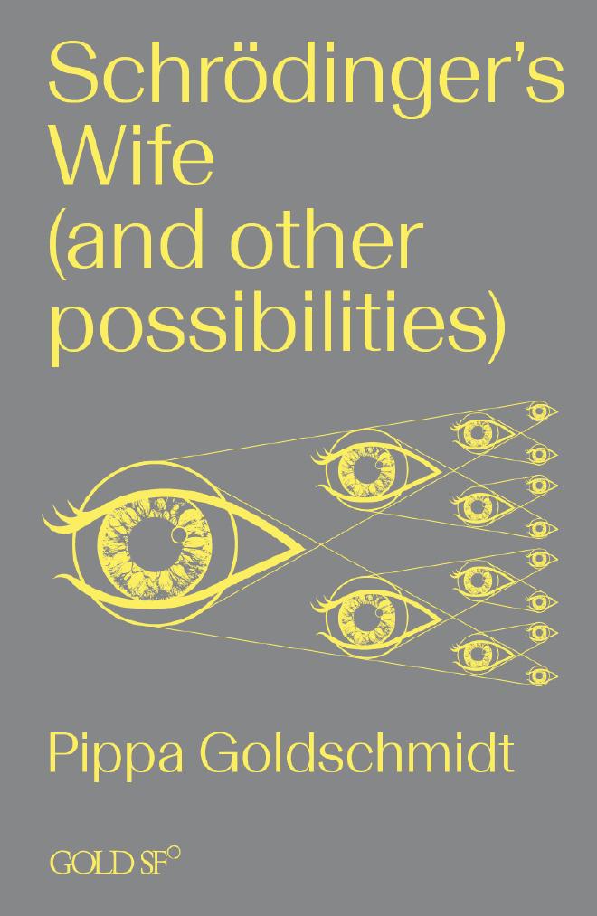 Schrödingers Wife book cover